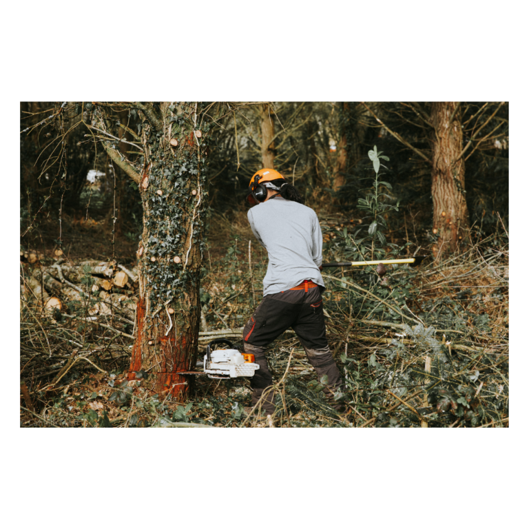 Portrait d’entrepreneur : Edern, ouvrier forestier